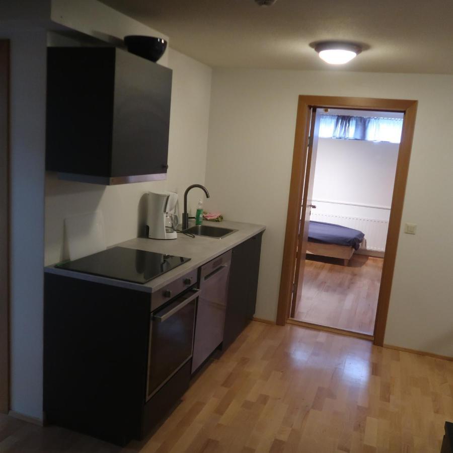 Large Apartment Close To The Centre Ρέυκιαβικ Εξωτερικό φωτογραφία